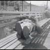 Man sleeping on bench. New York, NY