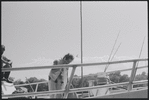 Sheepshead Bay. Brooklyn, NY