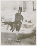 Bert Williams in his rooster costume from the theatrical revue the "Ziegfeld Follies" 