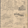Map of Allegany Co., N.Y. from actual surveys