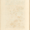 No. 64