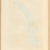 Euphorbium
