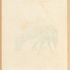 The scythian lamb