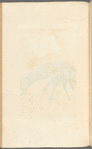 The scythian lamb