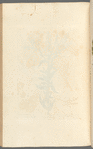 Mithridate mustard