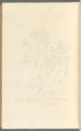 Hemlock