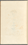 Lesser centory