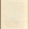 Dittany of creet