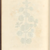 White horehound