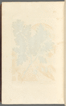 The oak