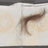 Keepsakes (Hair, dried flowers)