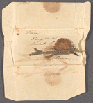 Keepsakes (Hair, dried flowers)