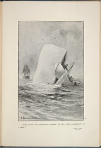 Moby Dick