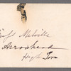 Morewood, Sarah A.