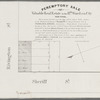 Peremptory sale of valuable real estate in the 11th Ward of the city New-York : the property described upon this map will be sold at public auction at the Merchants' Exchange on Tuesday, the 3rd day of February, 1835, by Franklin & Jenkins, auctioneers