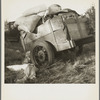 Roadside camp near Bakersfield, California. "Come to California." The wordly posessions of refugees from Texas dust, drought and depression