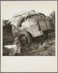 Roadside camp near Bakersfield, California. "Come to California." The wordly posessions of refugees from Texas dust, drought and depression