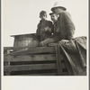 On location of Resettlement Administration film near Bakersfield, California. Three brothers, drought refugees from Texas (note water barrel)