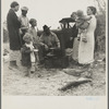 Along the highway near Bakersfield, California. Dust bowl refugees