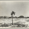 The town of Widtsoe, Utah