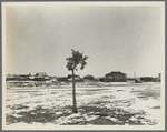The town of Widtsoe, Utah