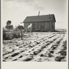 Widtsoe farm home. Resettlement Administration purchase. Utah
