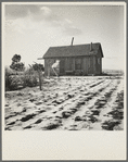 Widtsoe farm home. Resettlement Administration purchase. Utah