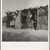 Date picker's home. Coachella Valley, California