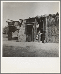 Date picker's home. Coachella Valley, California