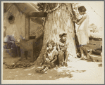 Motherless migrant children. They work in the cotton