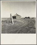 Typical farm in the Mills area, New Mexico. These people are to be resettled, their land to revert to cattle range