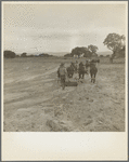 Leveling the land for irrigation on the Bosque Farms project. The tract of two thousand four hundred acres to be cultivated under irrigation. New Mexico