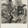 A new start. Bosque Farms project, New Mexico
