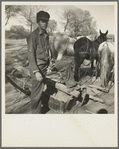 A new start. Bosque Farms project, New Mexico