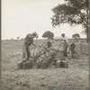 Making adobe bricks. Bosque Farms project, New Mexico. These bricks are to be used in construction of the new school building