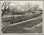 El Monte federal subsistence homesteads. Seventeen dollars and seventy cents rent to apply on purchase of three-room house. California
