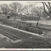El Monte federal subsistence homesteads. Seventeen dollars and seventy cents rent to apply on purchase of three-room house. California