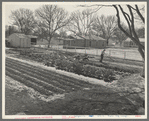El Monte federal subsistence homesteads. Seventeen dollars and seventy cents rent to apply on purchase of three-room house. California