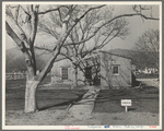 El Monte federal subsistence homesteads. One hundred homes, all occupied, each with three quarters of an acre land. Average family income, eight hundred dollars per annum