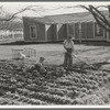 El Monte Federal subsistence homesteads. One hundred homes, each with three quarters of an acre land, all occupied. Average family income, eight hundred dollars per annum