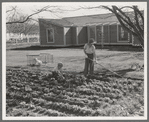 El Monte Federal subsistence homesteads. One hundred homes, each with three quarters of an acre land, all occupied. Average family income, eight hundred dollars per annum