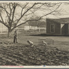 El Monte federal subsistence homesteads. One hundred homes, all occupied, each with three quarters of an acre land. Average family income eight hundred dollars per annum