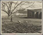 El Monte federal subsistence homesteads. One hundred homes, all occupied, each with three quarters of an acre land. Average family income eight hundred dollars per annum