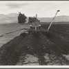 Sugar beet field freshly plowed by tractor with plowshare attached and showing Mexican operator. California