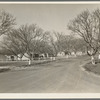 El Monte federal subsistence homesteads. One hundred occupied homes, each with three quarters of an acre. Average yearly income eight hundred dollars. California
