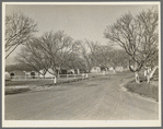 El Monte federal subsistence homesteads. One hundred occupied homes, each with three quarters of an acre. Average yearly income eight hundred dollars. California