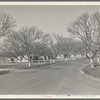 El Monte federal subsistence homesteads. One hundred occupied homes, each with three quarters of an acre. Average yearly income eight hundred dollars. California