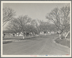 El Monte federal subsistence homesteads. One hundred occupied homes, each with three quarters of an acre. Average yearly income eight hundred dollars. California