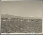 Oklahomians trying to make a new start in California. Near Los Angeles