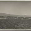Oklahomians trying to make a new start in California. Near Los Angeles
